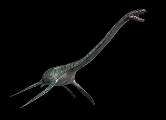 Plesiosauro - Plesiosauro. 