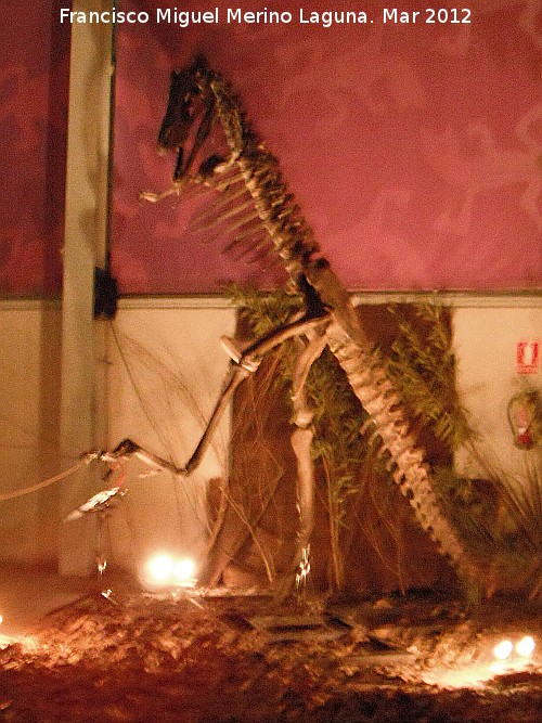 Gorgosaurio - Gorgosaurio. 