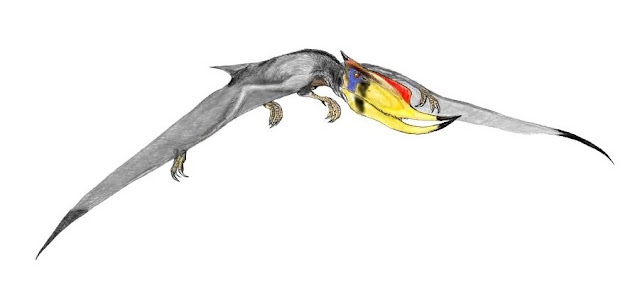 Dsungaripterus - Dsungaripterus. 