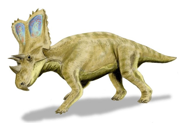 Chasmosaurio - Chasmosaurio. 