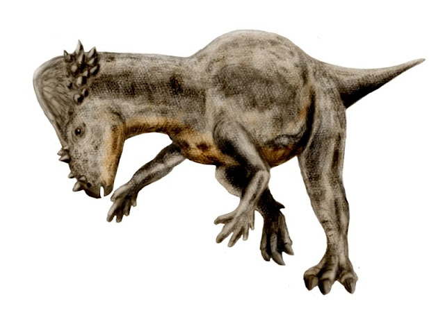 Pachycephalosaurio - Pachycephalosaurio. 