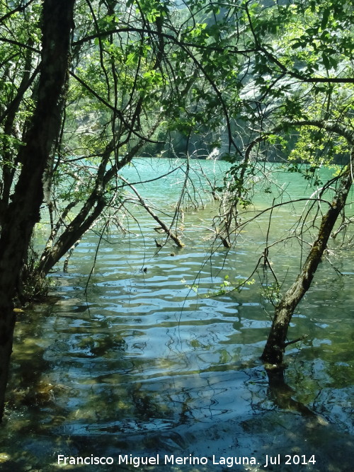 Laguna de Valdeazores - Laguna de Valdeazores. 
