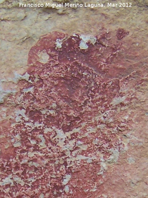Pinturas rupestres de la Pea de los Buitres I - Pinturas rupestres de la Pea de los Buitres I. Detalle