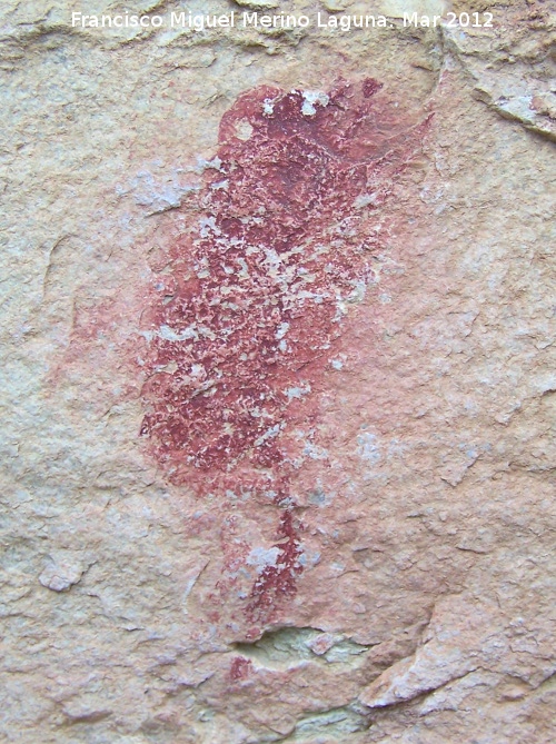 Pinturas rupestres de la Pea de los Buitres I - Pinturas rupestres de la Pea de los Buitres I. 