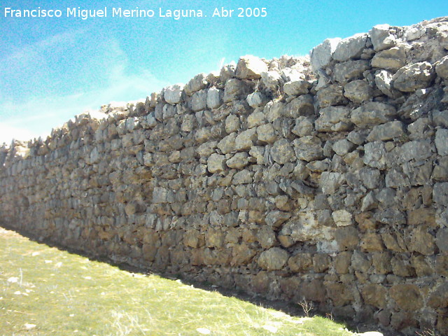 Castillo de las Cinco Esquinas - Castillo de las Cinco Esquinas. Muralla