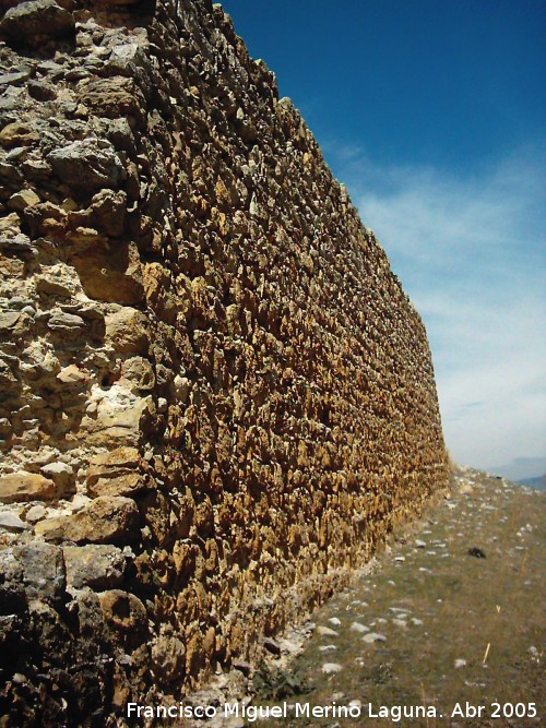 Castillo de las Cinco Esquinas - Castillo de las Cinco Esquinas. Muralla