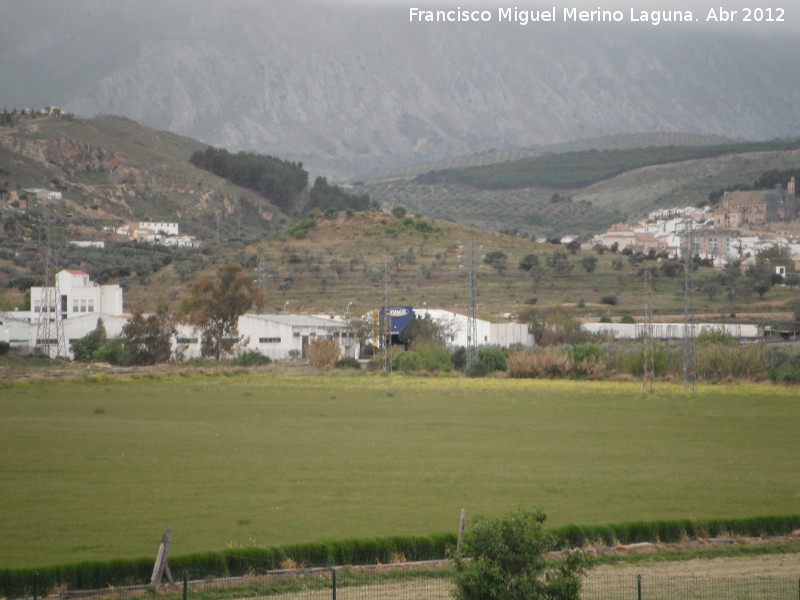 Yacimiento del Llano del Rojal - Yacimiento del Llano del Rojal. 