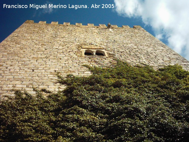Castillo de la Yedra - Castillo de la Yedra. Torre del Homenaje con la yedra que le da nombre al castillo