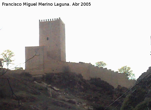 Castillo de la Yedra - Castillo de la Yedra. Alcazar