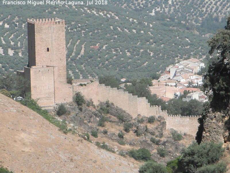 Castillo de la Yedra - Castillo de la Yedra. Desde La Hoz