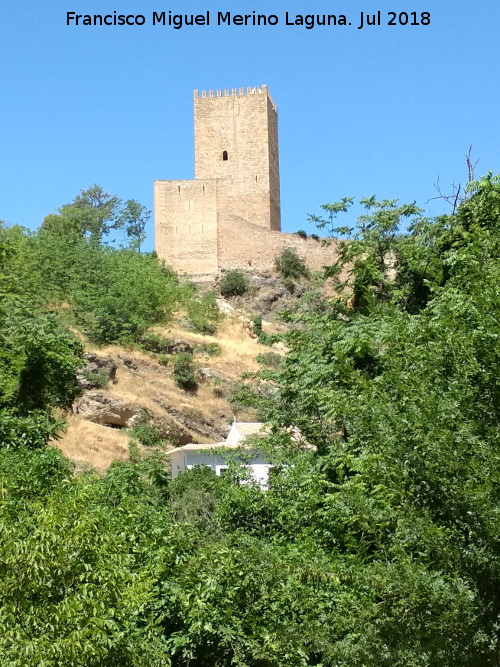 Castillo de la Yedra - Castillo de la Yedra. Desde el Ro Cerezuelo