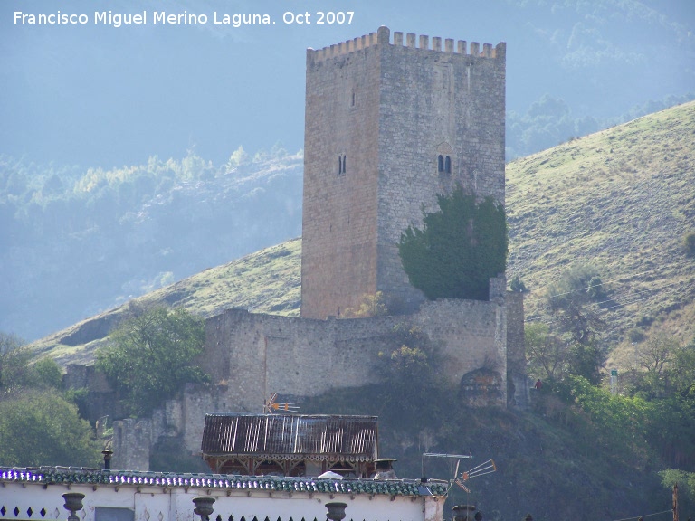 Castillo de la Yedra - Castillo de la Yedra. 