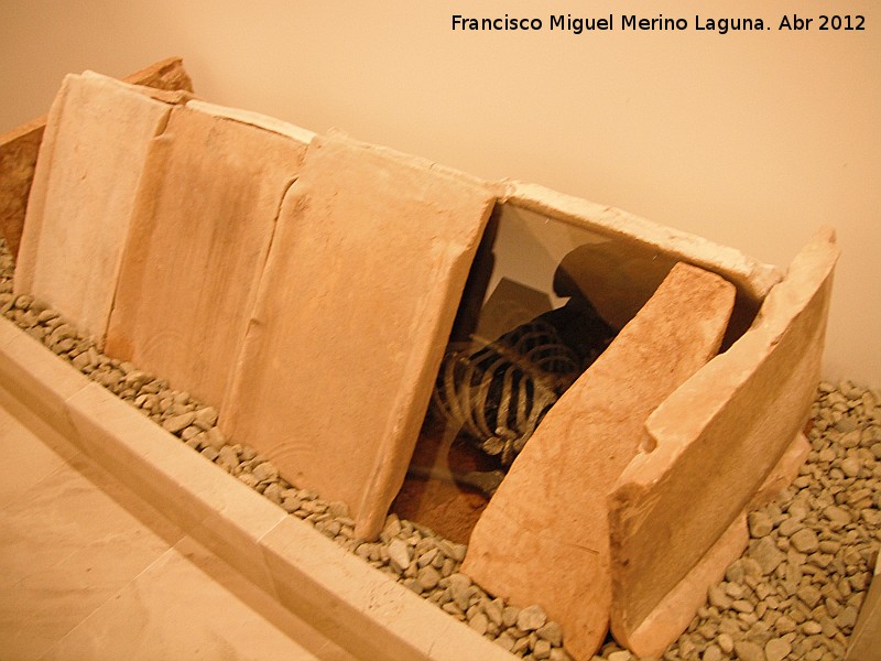 Yacimiento de La Quinta - Yacimiento de La Quinta. Enterramiento bajo tgulas. Siglos II - V d.C. Museo Municipal