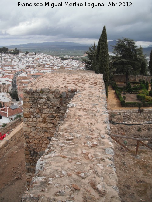 Alcazaba. Torren XXI - Alcazaba. Torren XXI. 