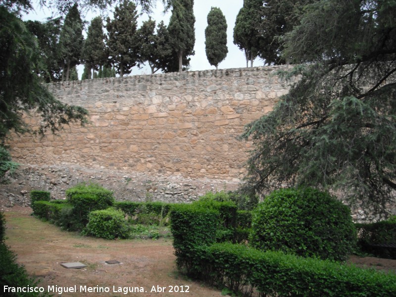 Alcazaba. Muralla Cristiana - Alcazaba. Muralla Cristiana. 