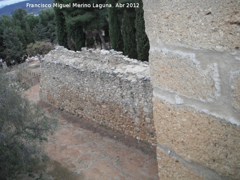 Alcazaba. Muralla Cristiana - Alcazaba. Muralla Cristiana. 