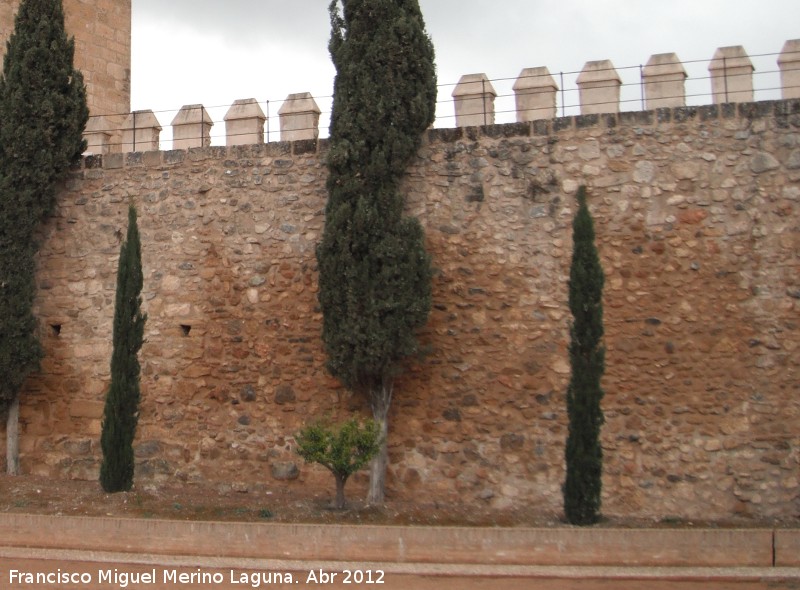 Alcazaba. Muralla Sur - Alcazaba. Muralla Sur. Intramuros