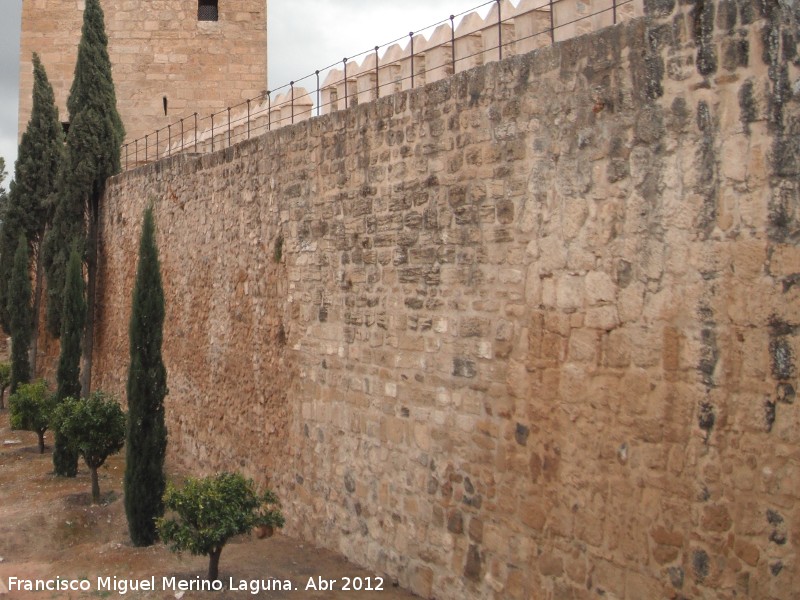 Alcazaba. Muralla Sur - Alcazaba. Muralla Sur. Intramuros