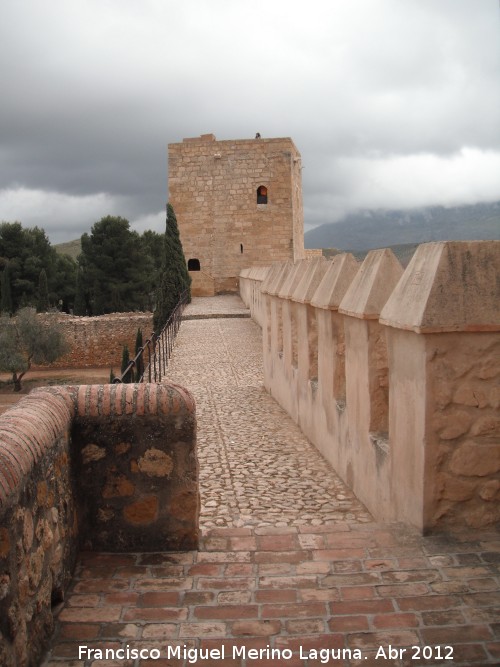 Alcazaba. Muralla Sur - Alcazaba. Muralla Sur. Adarve