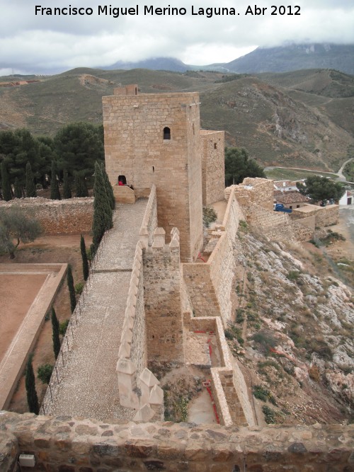 Alcazaba. Muralla Sur - Alcazaba. Muralla Sur. 