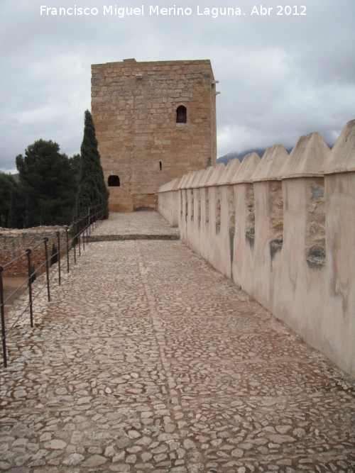 Alcazaba. Muralla Sur - Alcazaba. Muralla Sur. Adarve