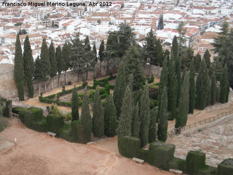 Alcazaba. Jardines - Alcazaba. Jardines. 