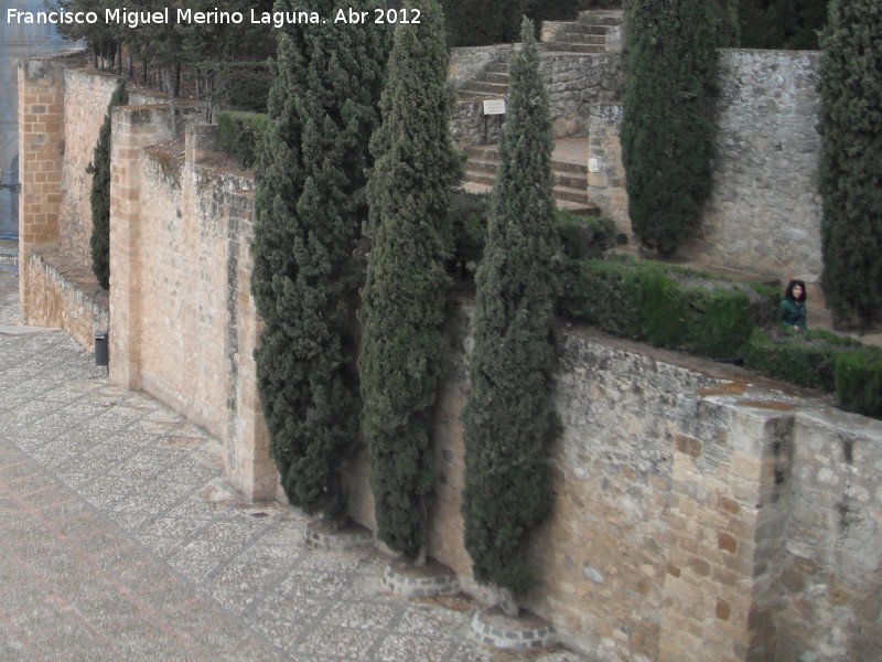 Alcazaba. Murallas de Levante - Alcazaba. Murallas de Levante. 