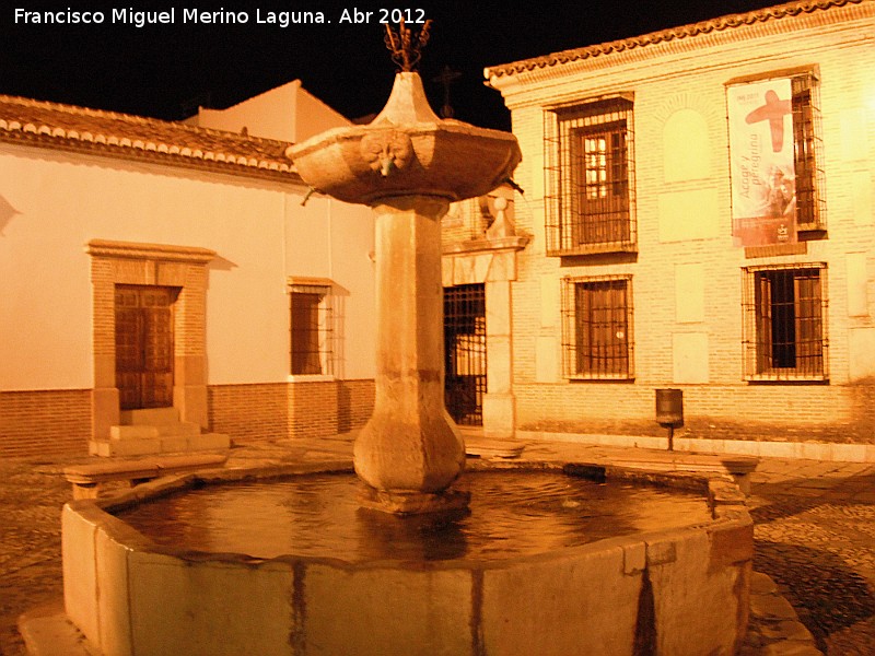 Fuente de la Plaza de Santiago - Fuente de la Plaza de Santiago. 