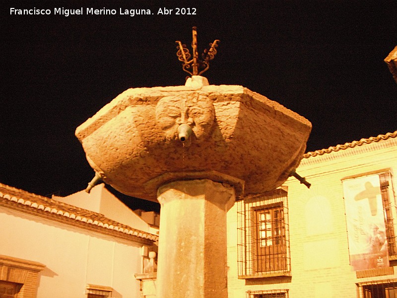 Fuente de la Plaza de Santiago - Fuente de la Plaza de Santiago. Cara