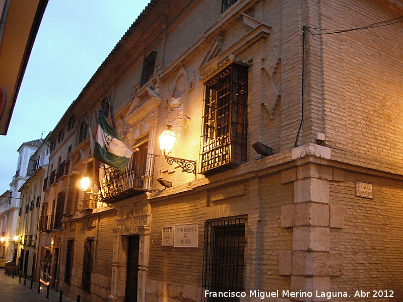 Casa del Conde Pinofiel - Casa del Conde Pinofiel. 