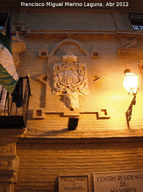 Casa del Conde Pinofiel - Casa del Conde Pinofiel. Escudo