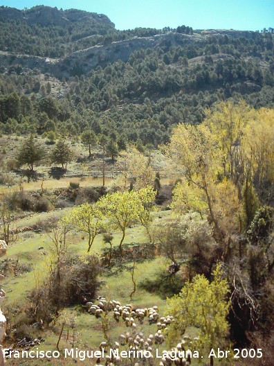 Monasterio de Montesin - Monasterio de Montesin. Vista desde el monasterio