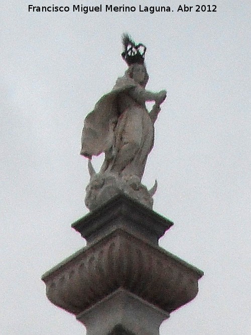 Triunfo de la Inmaculada - Triunfo de la Inmaculada. Inmaculada