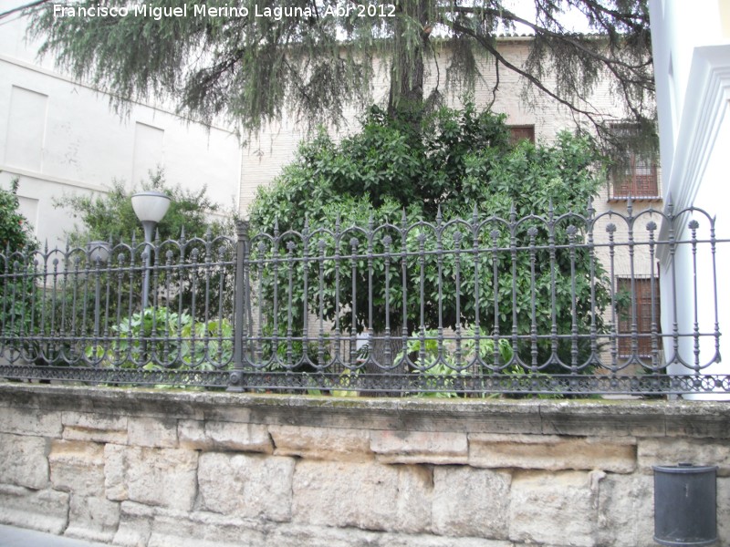 Casa Museo de los Colarte - Casa Museo de los Colarte. Jardines