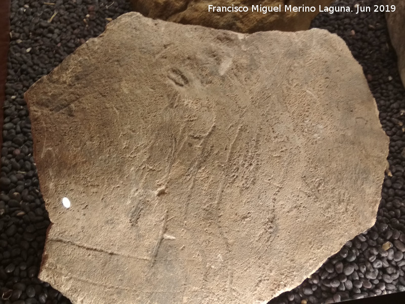 Historia de Ardales - Historia de Ardales. Piedra votiva con grabados. Centro de Interpretacin de la Prehistoria de Ardales