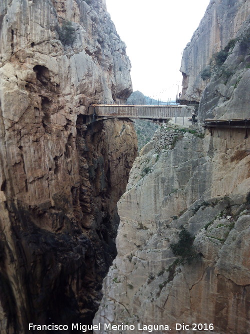 Desfiladero de los Gaitanes - Desfiladero de los Gaitanes. Puente de los Gaitanes