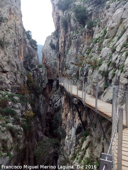 Caminito del Rey - Caminito del Rey. En su tramo del Gaitanejo