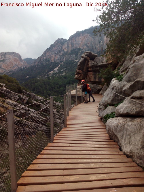 Caminito del Rey - Caminito del Rey. Tramo del Puente del Rey