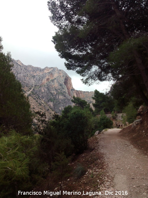 Caminito del Rey - Caminito del Rey. Tramo del Valle del Hoyo