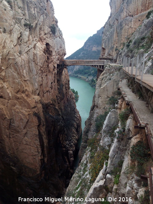 Caminito del Rey - Caminito del Rey. Puente de los Gaitanes