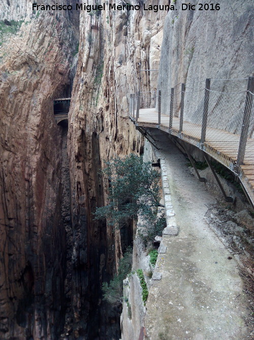 Caminito del Rey - Caminito del Rey. Camino viejo y camino nuevo en el Desfiladero de los Gaitanes