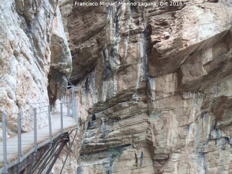 Caminito del Rey - Caminito del Rey. En el Desfiladero de los Gaitanes