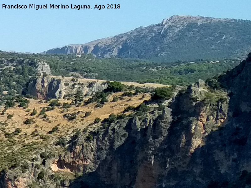 Llanos de Palomares - Llanos de Palomares. Desde la Caada del Sabinar