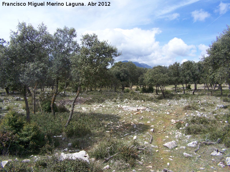 Llanos de Palomares - Llanos de Palomares. 