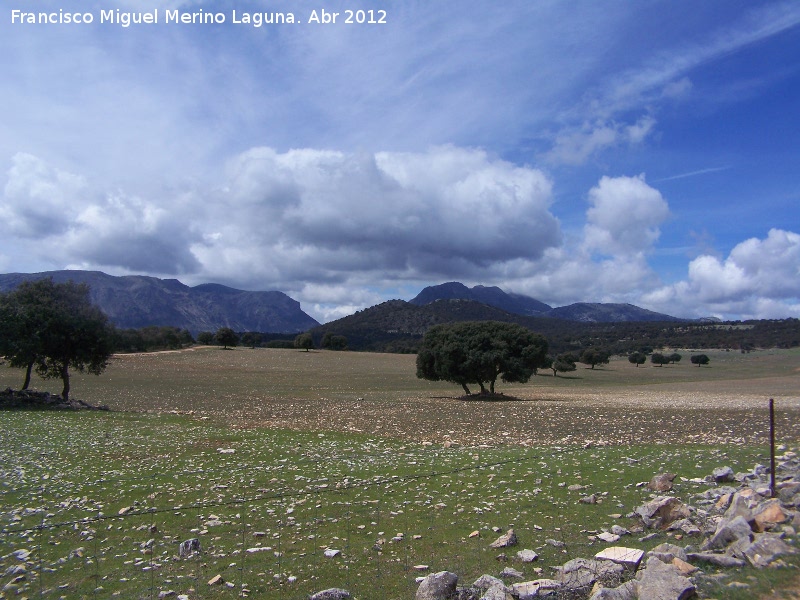 Llanos de Palomares - Llanos de Palomares. 