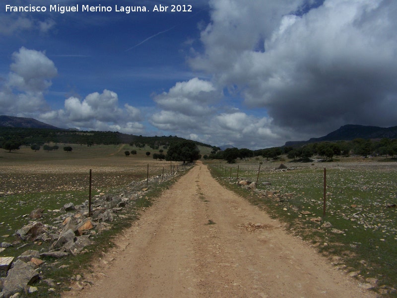 Llanos de Palomares - Llanos de Palomares. 