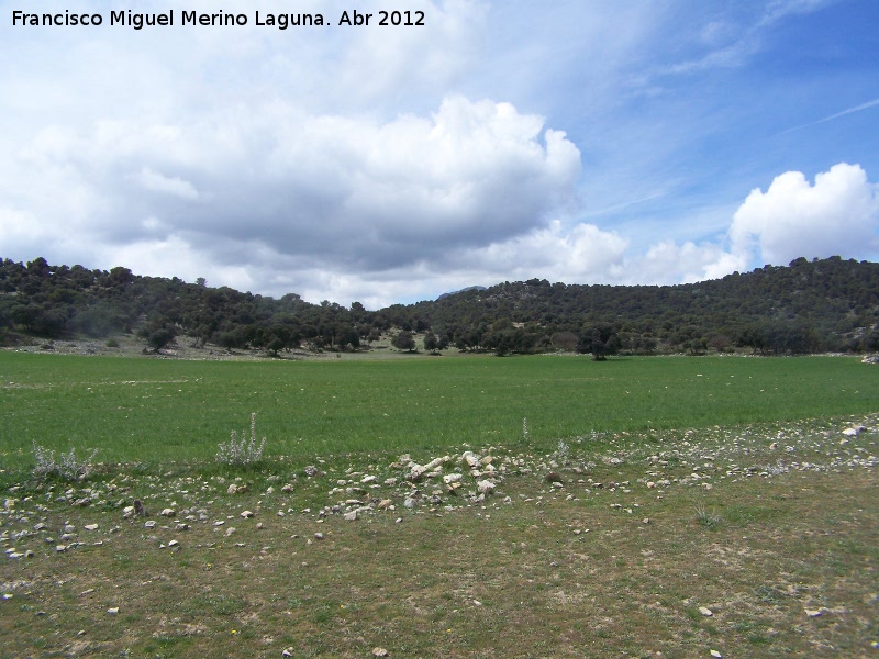 Llanos de Palomares - Llanos de Palomares. 