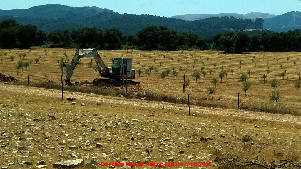 Llanos de Palomares - Llanos de Palomares. Con la Piedra del Palo al fondo