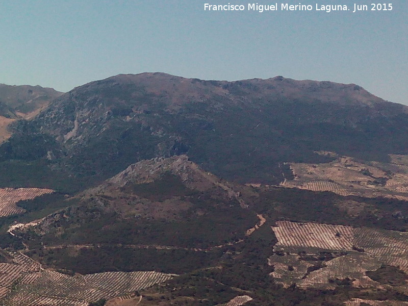 Cerro Grajales - Cerro Grajales. 