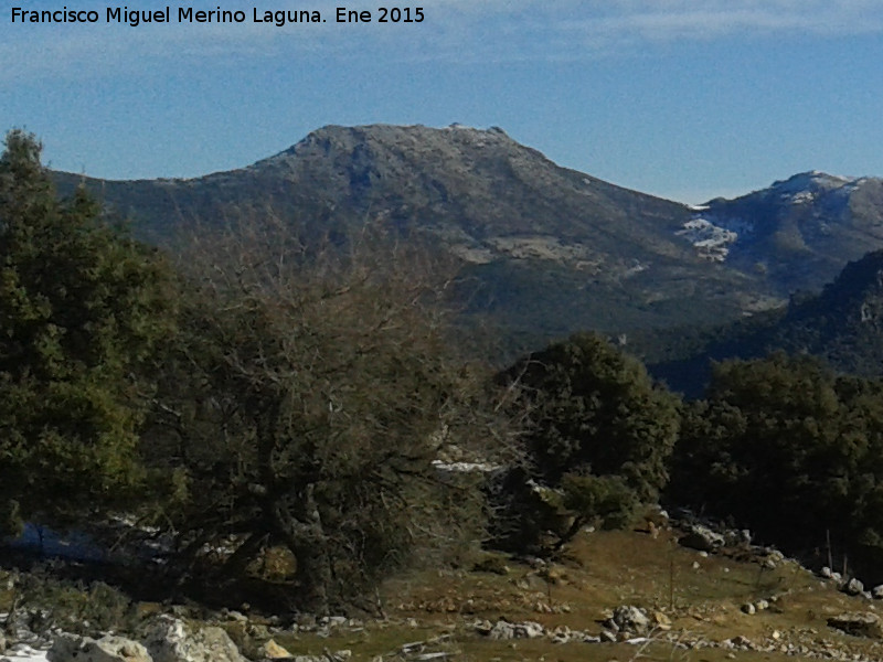 Cerro Grajales - Cerro Grajales. Desde el Puerto de las Corbeteras